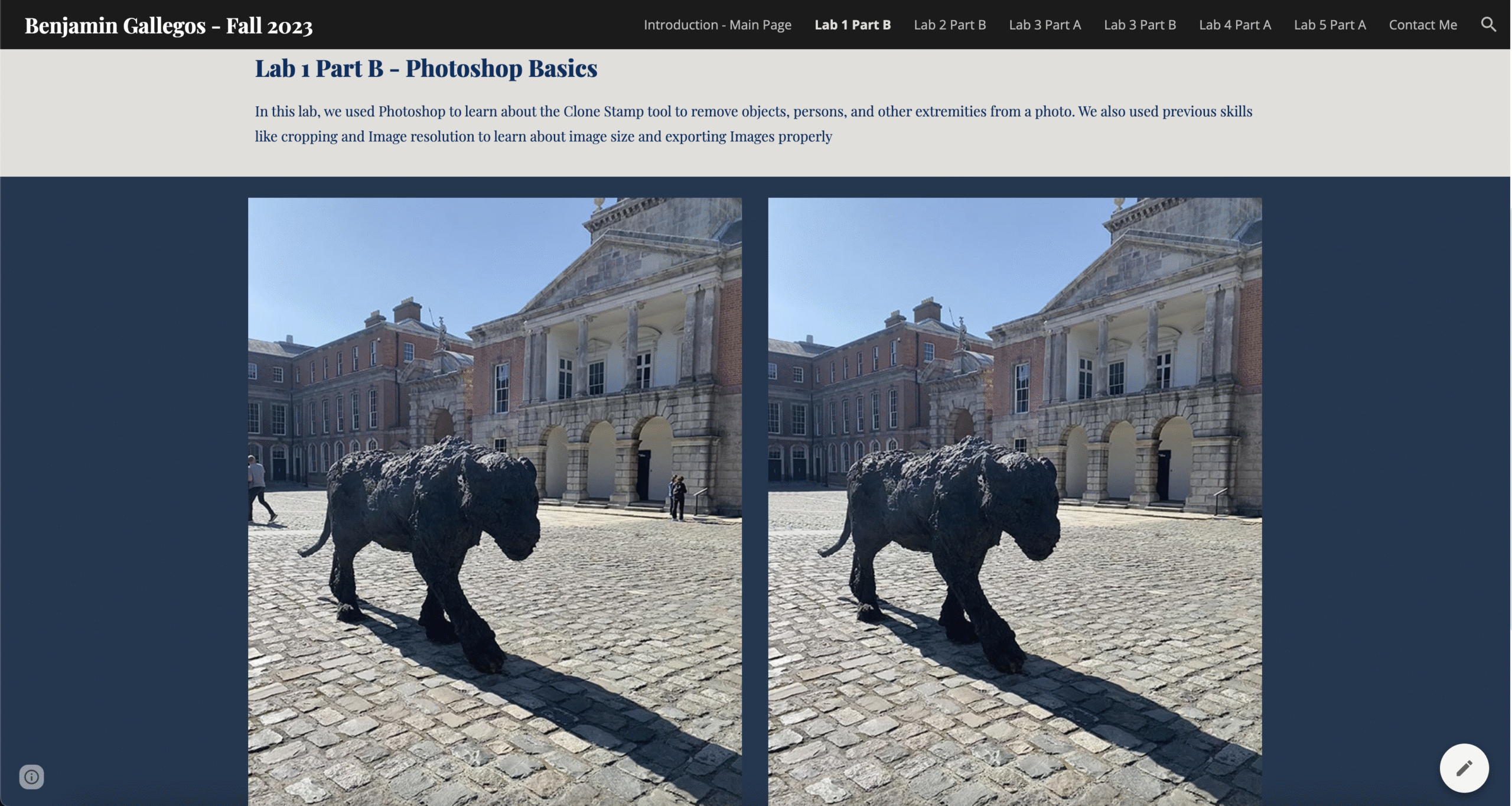 Web Design - Screenshot