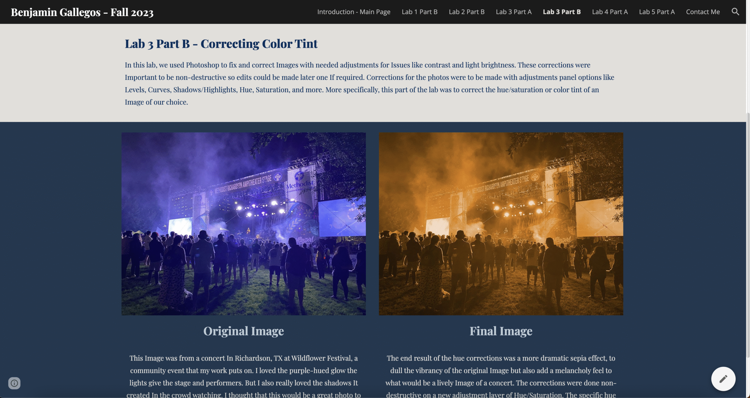 Web Design - Screenshot