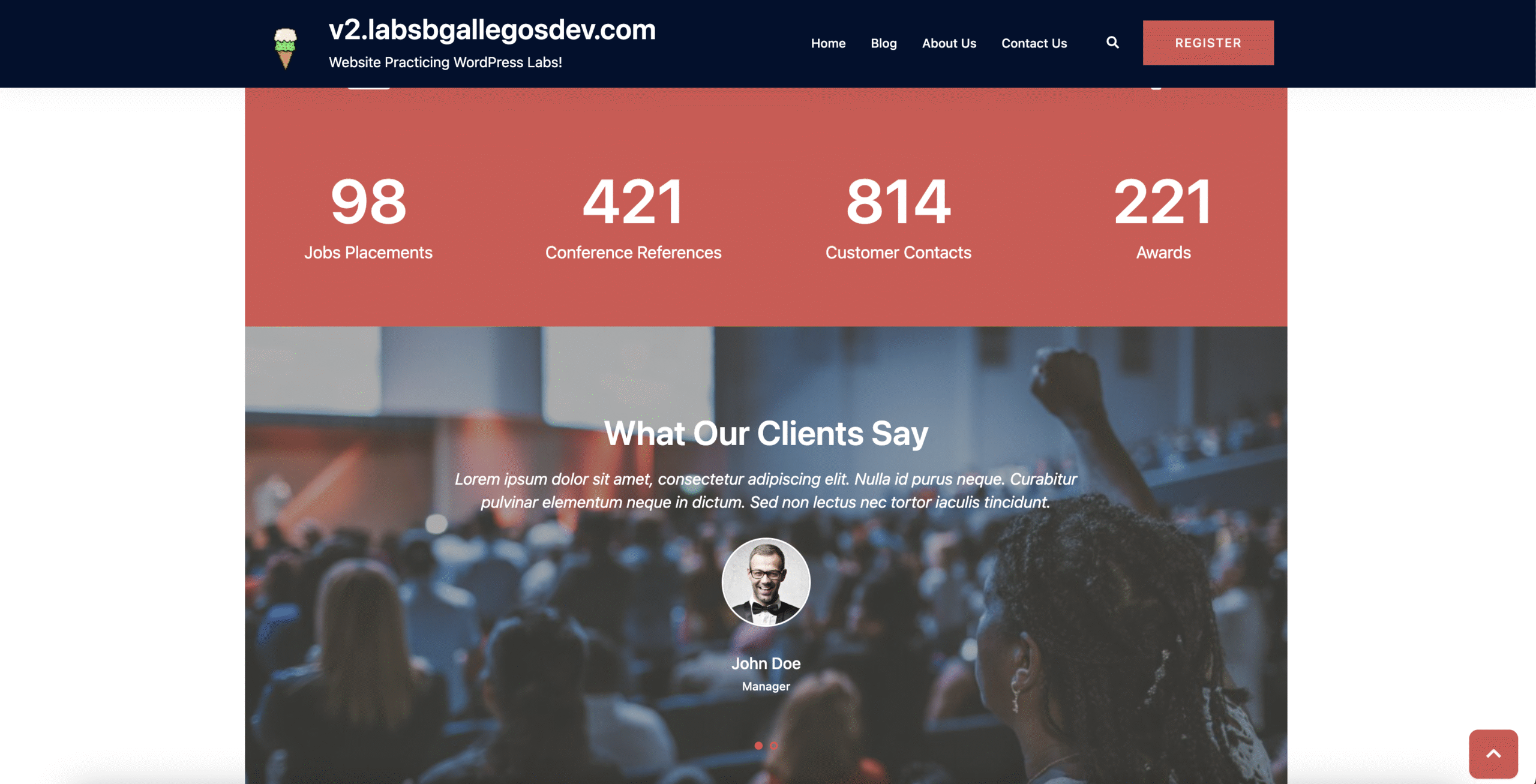 WordPress Design - Counters